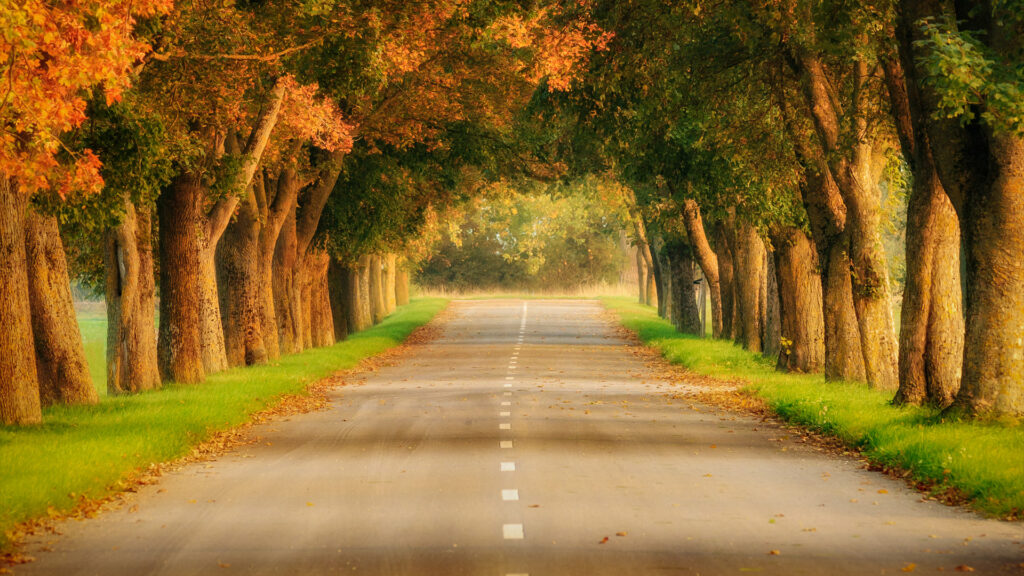 Allee_augsburg_tobias_mueller_fotografie