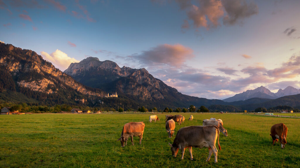 füssen_allgäu_tobias_müller_fotografie