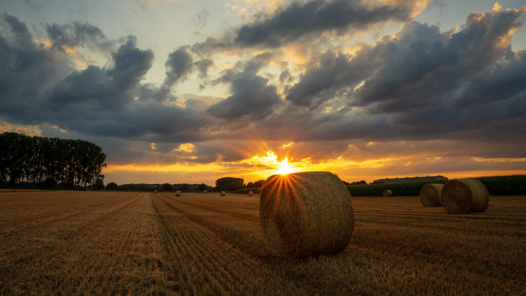 Strohballenfeld sonnenuntergang augsburg